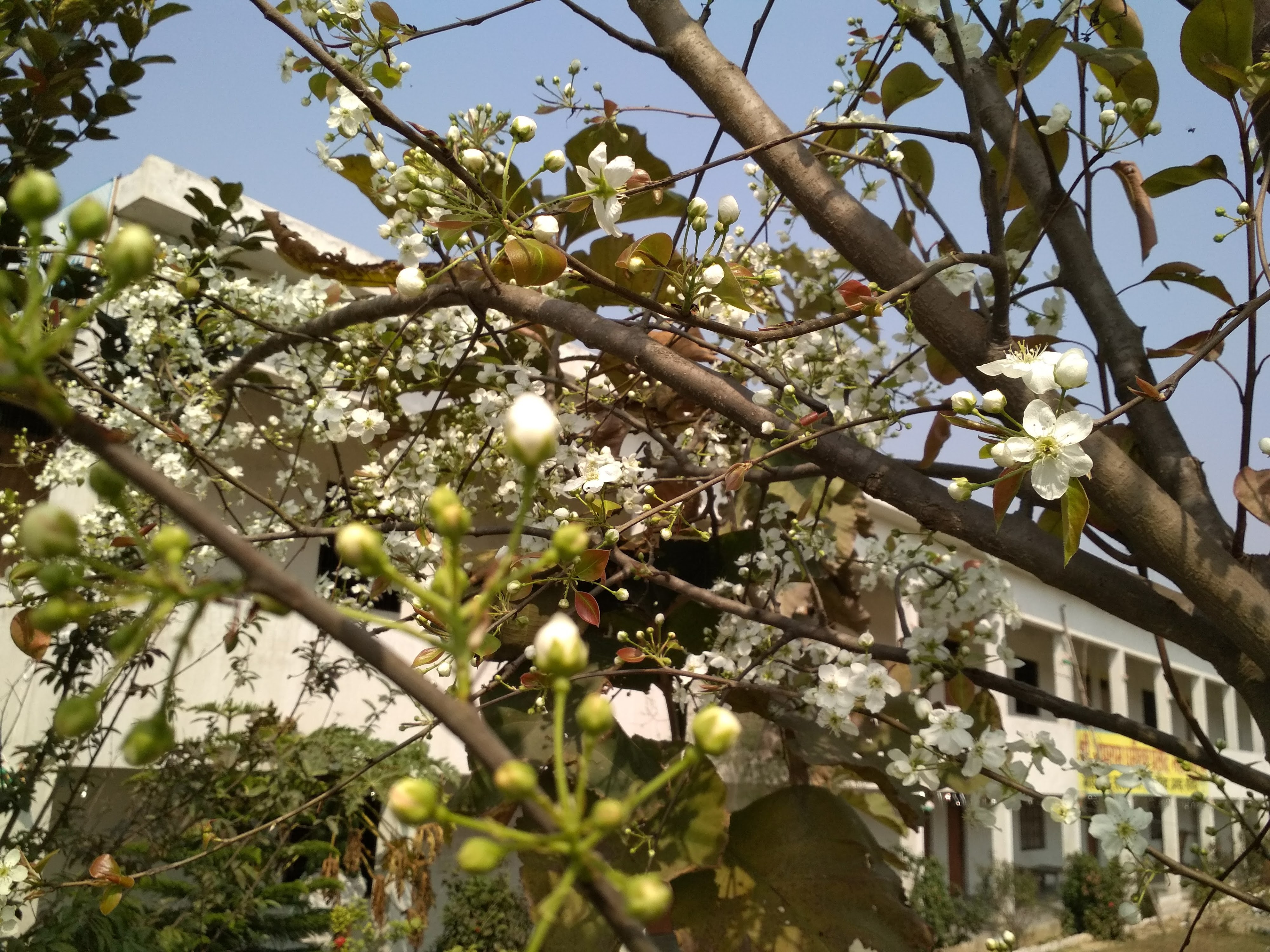 Campus Environment 3